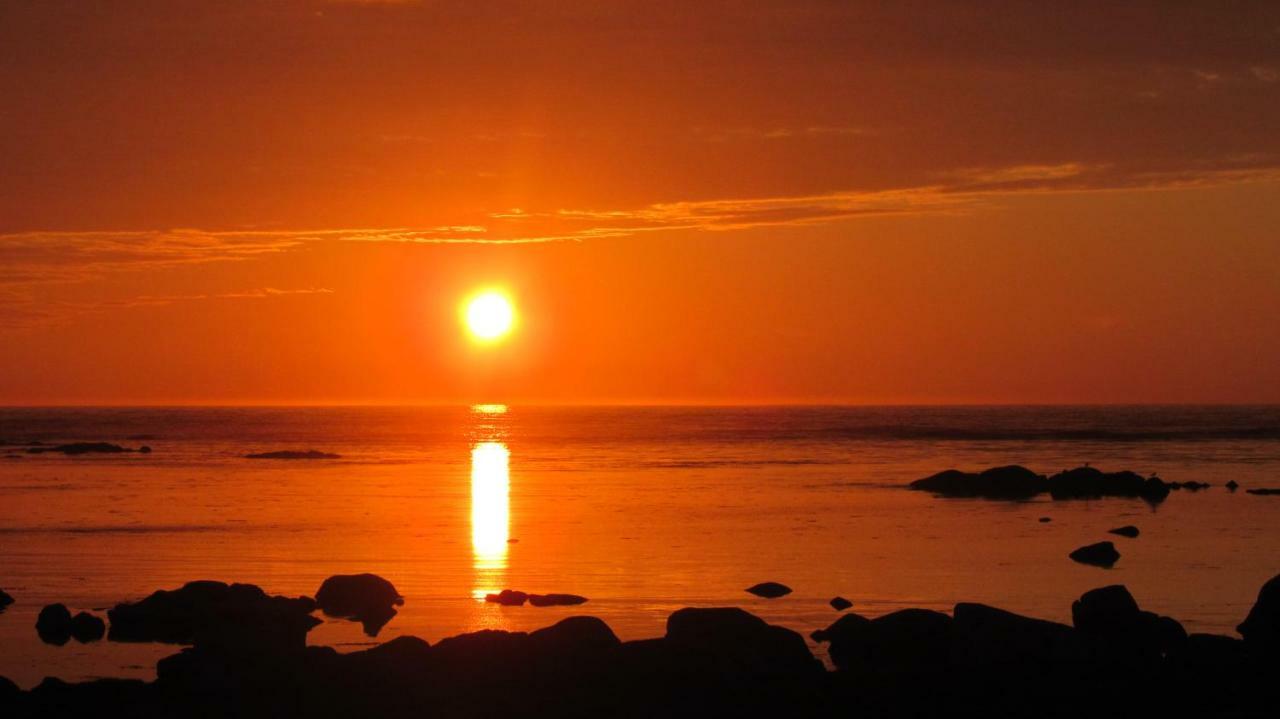 Lofoten - Hoynes Bostad Dış mekan fotoğraf