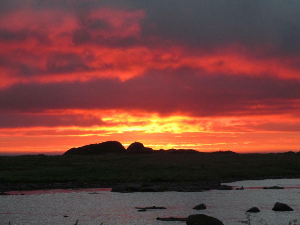 Lofoten - Hoynes Bostad Dış mekan fotoğraf