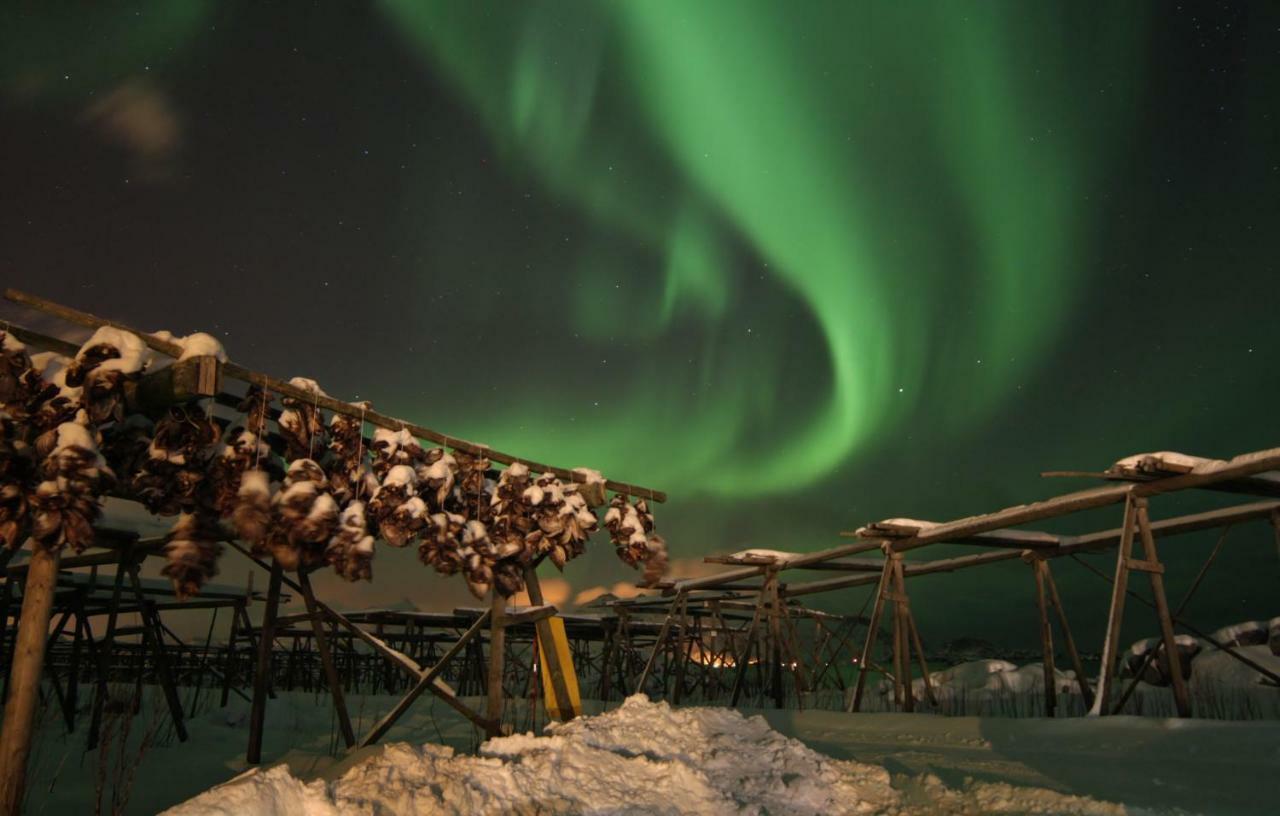 Lofoten - Hoynes Bostad Dış mekan fotoğraf